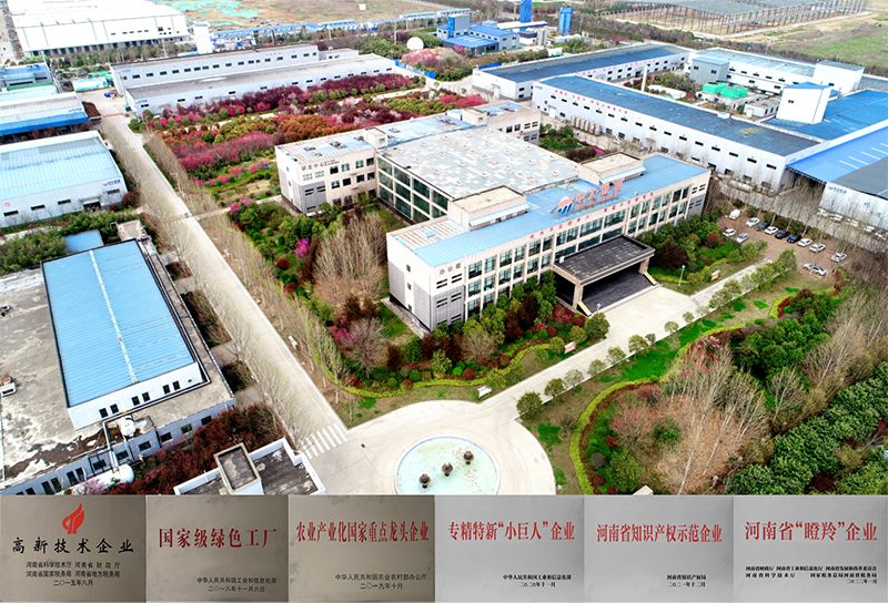 九游在线资质证书.png
